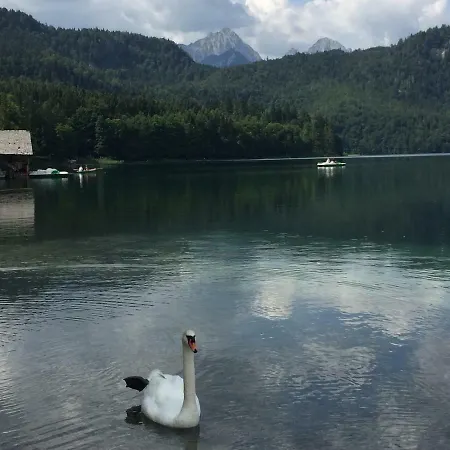 Wiestalerhof Διαμέρισμα *