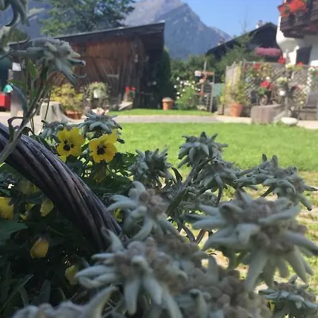 Wiestalerhof Διαμέρισμα Bichlbach