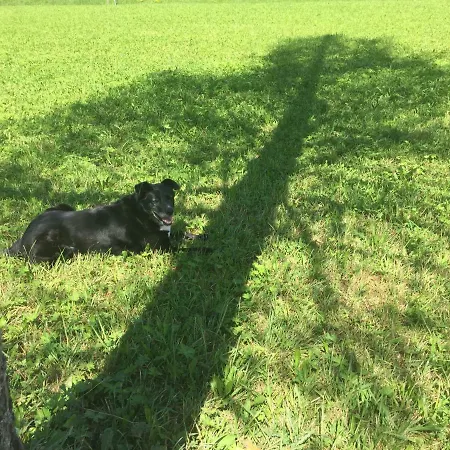 Wiestalerhof Апартаменты Бихльбах